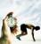 Professeur d'universit� - dernier message par machtn83