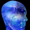 Dipl�me belge ing�nieur civil math�matiques appliqu�es - dernier message par mmglajoie