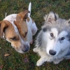 Ost�opathe �quin/canin - dernier message par Madenn